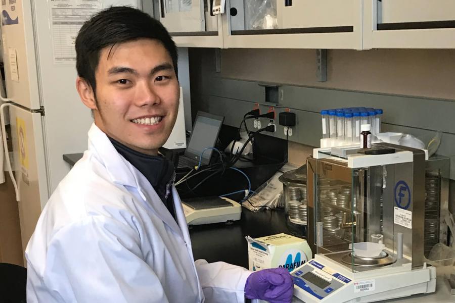 A student sits as a workstation in a lab. 