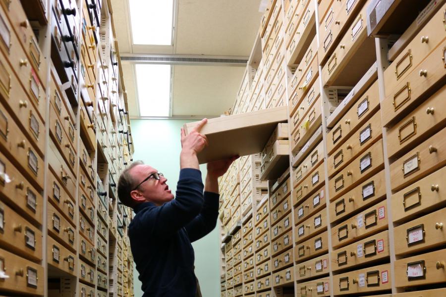 An entomologist pulls a tray out from a shelf.