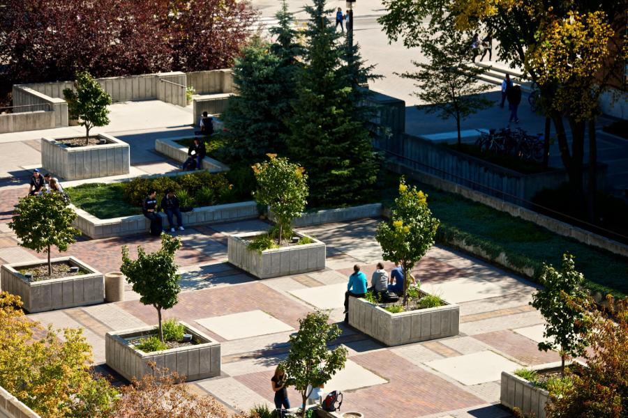 Students seated in small groups socializing on a rooftop garden.