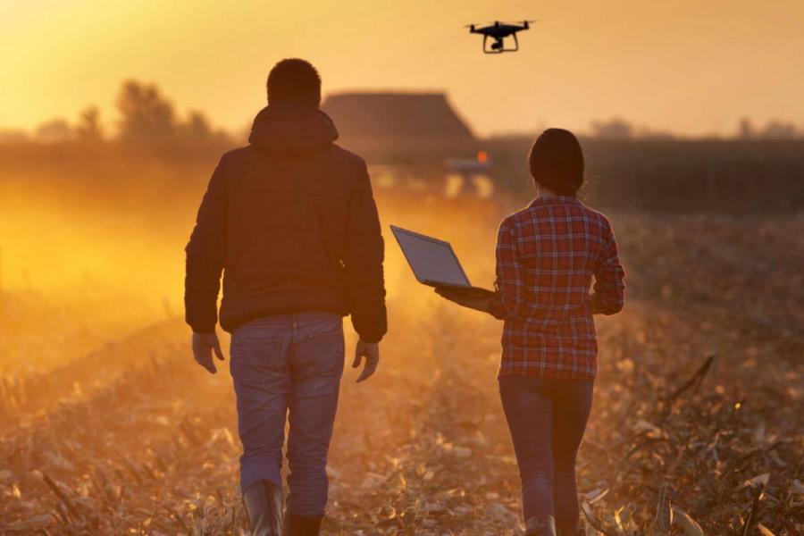 An agriculture student walks through a field following a drone and carrying a laptop.