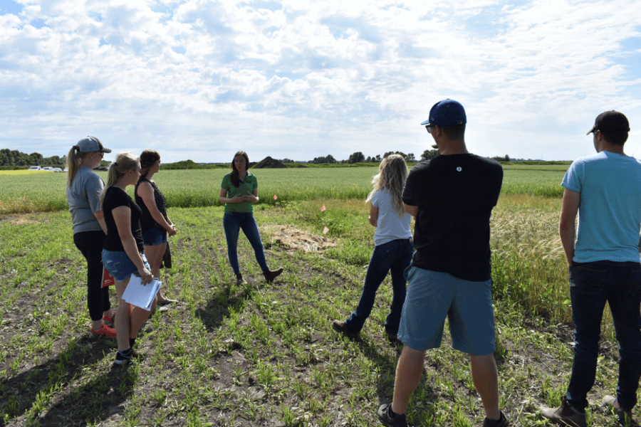 Agriculture diploma students listen to someone speak in a crop field.
