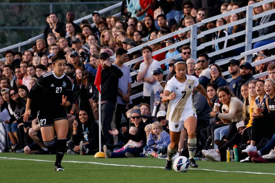 A crowd cheers during a Bisons soccer game. 