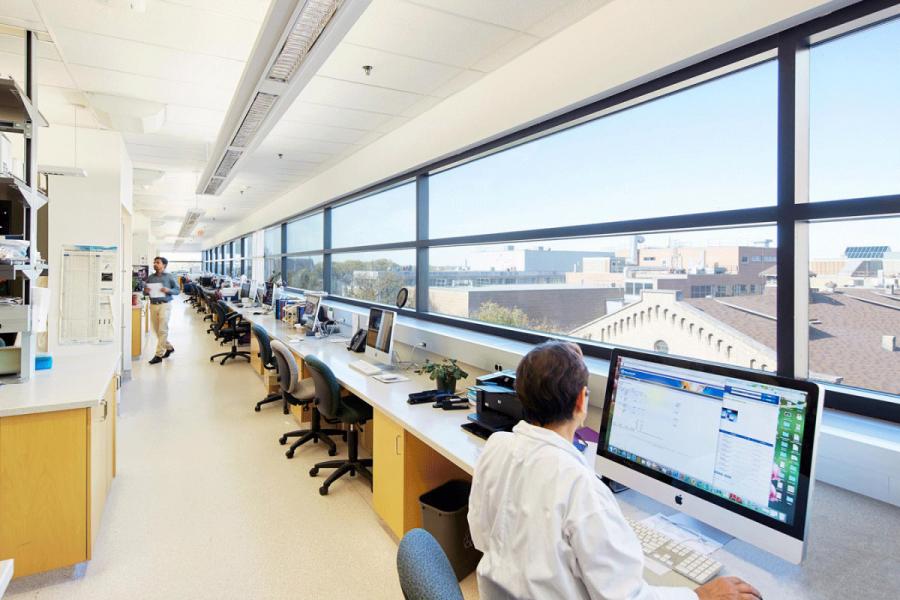 A student works at a computer in an Immunology lab.