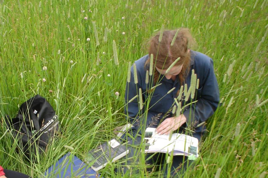 A woman sits in a grassy field looking at textbooks.