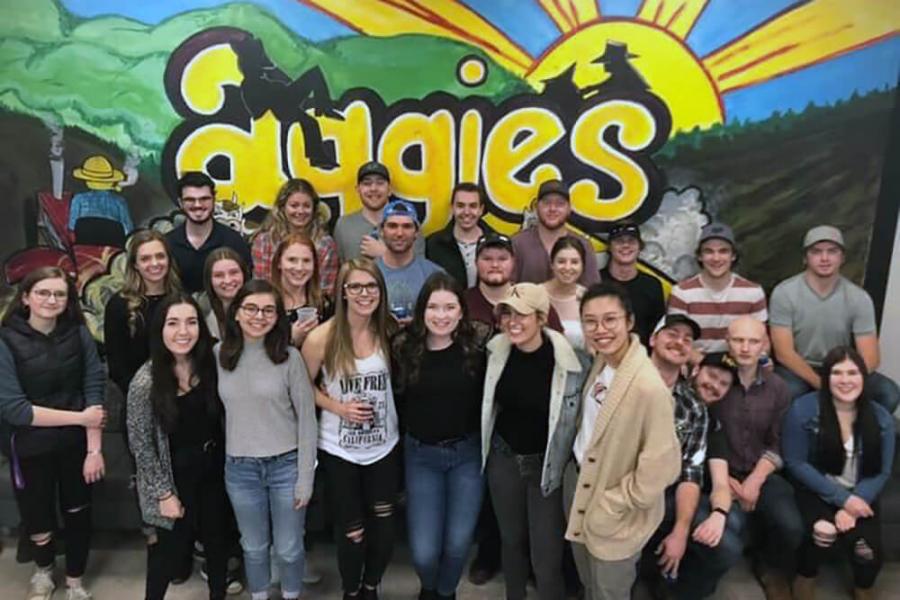 A group of students stands in front of a wall that has the word Aggies on it.