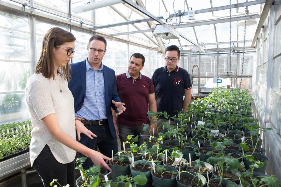 A group of students with a professor in a greenhouse.