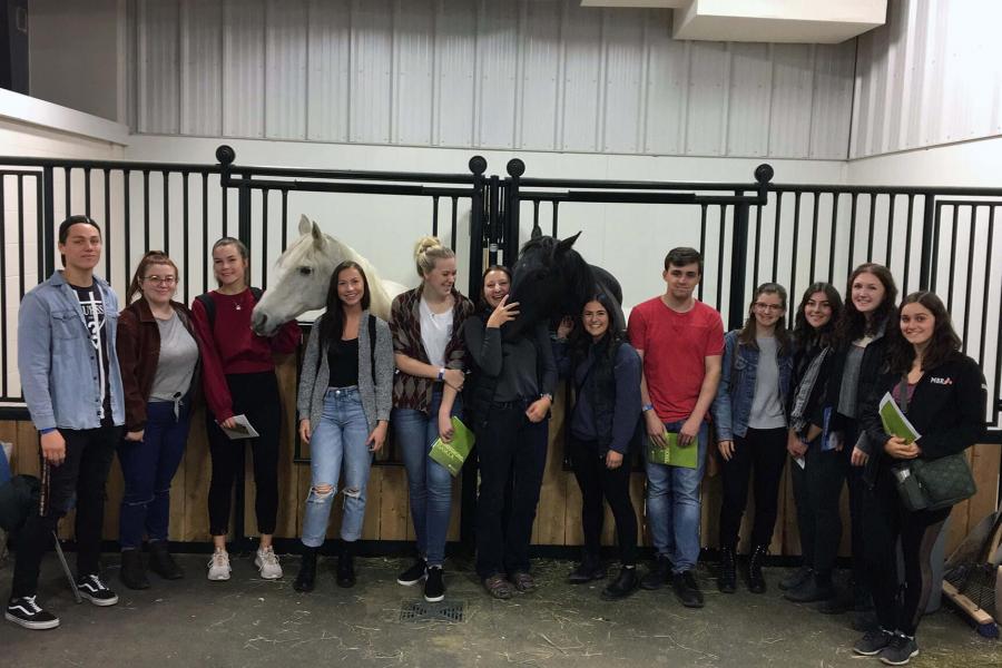A group of students are standing in front of several horses in stalls.