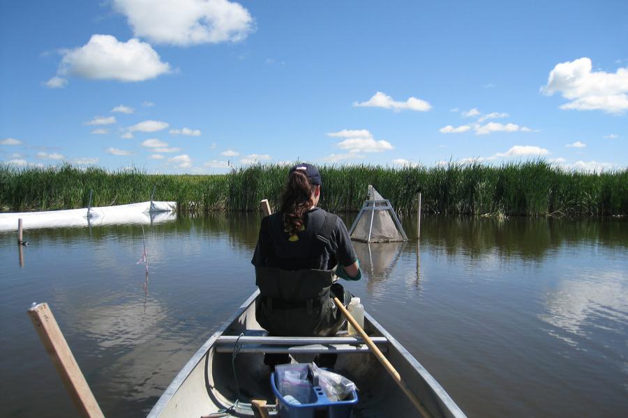 A woman in a canoe approaches a research site.