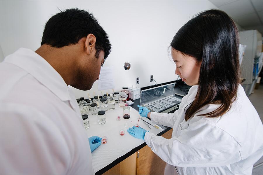 Two UM students wearing lab coats preparing a specimen on a glass dish.