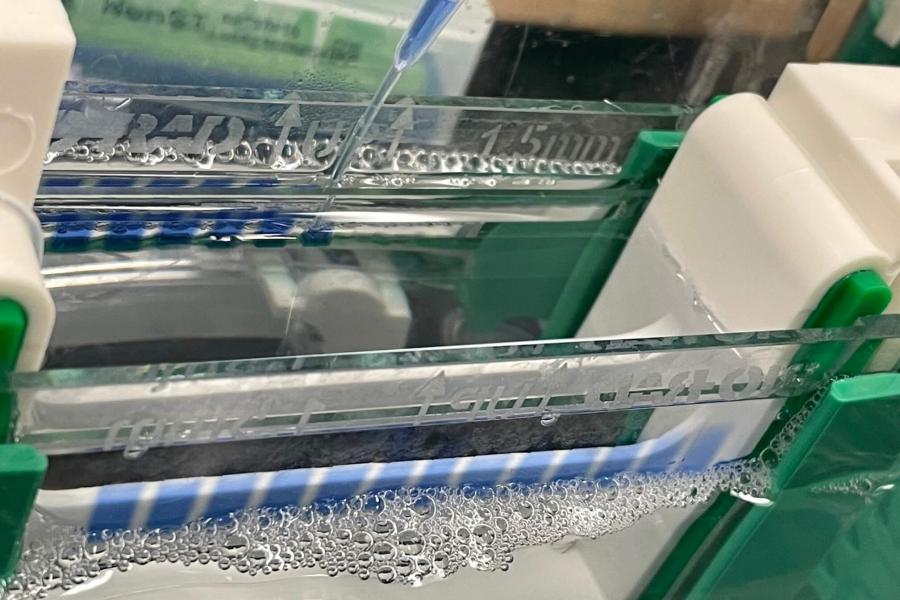 Complex image showing the supplies needed for lab protein gel electrophoresis.