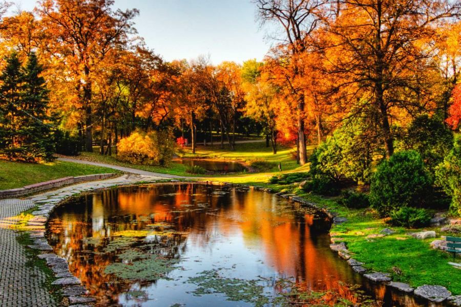 Yellow and orange leaves on trees overlooking a pond at Kildonan Park.