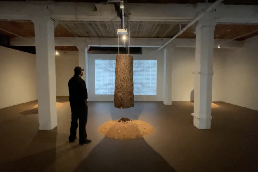 A man stands in the middle of a white room, viewing a large tree stump hanging over a a pile of saw dust