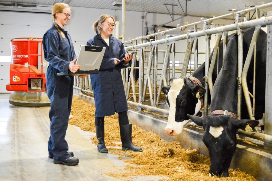 Two students wearing dark blue jumpsuits and coats stand smiling at two cows feeding behind a metal grate in an indoor facility.