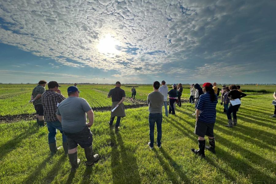 Eighteen people stand with their backs facing away from the camera in a green farmer's field as the sun sets in the background behind white clouds.