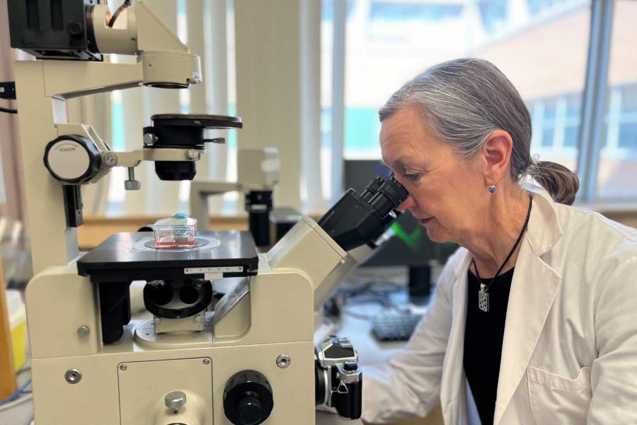 A researcher in a white lab coat looks into a microscope.