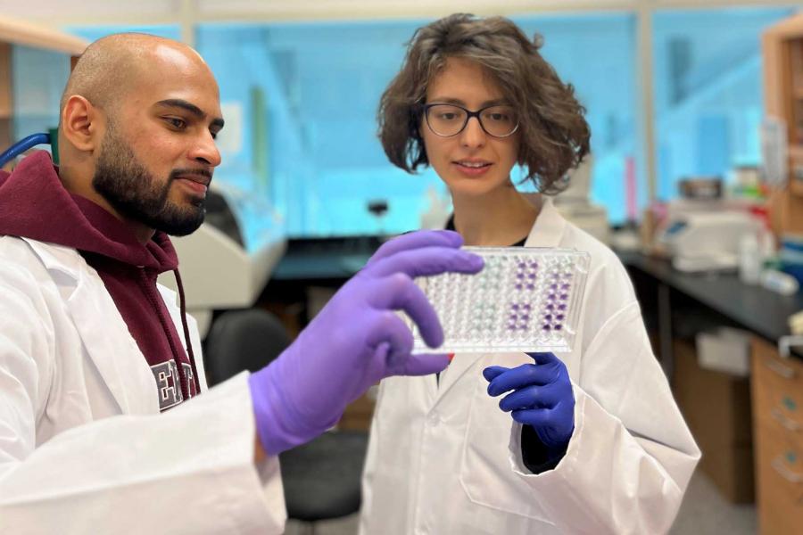 Two researchers in a lab in white lab coats looking at samples in a vials.