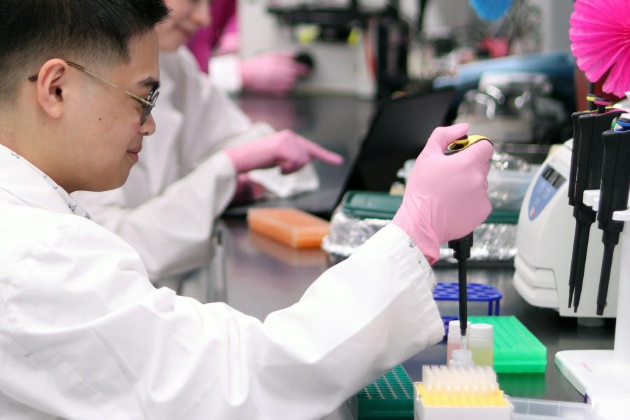 A student in a lab uses a pipette to dispense liquid.