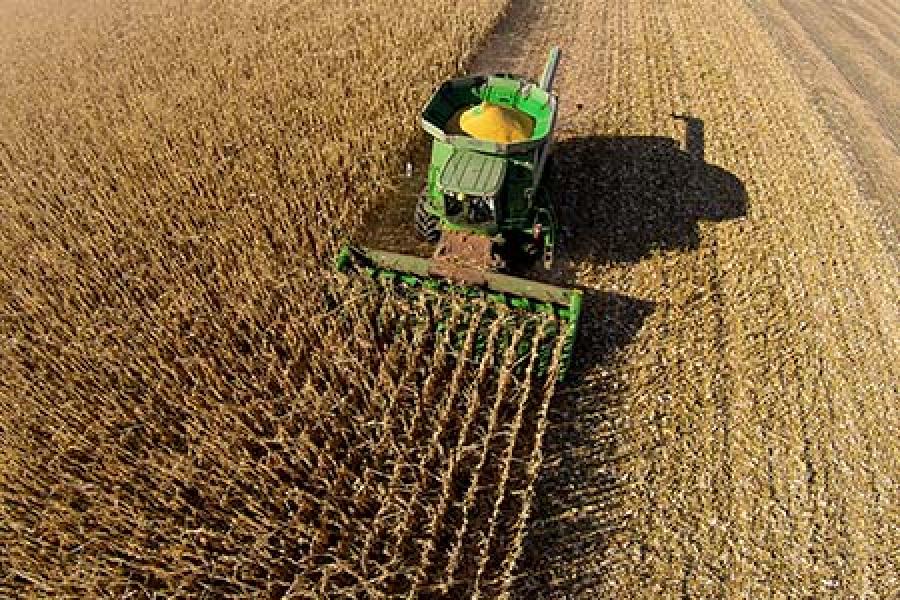 Aerial view of a green combine harvester in a vast golden cornfield, cutting rows of crops. 