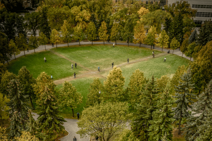 The quadrangle green space.