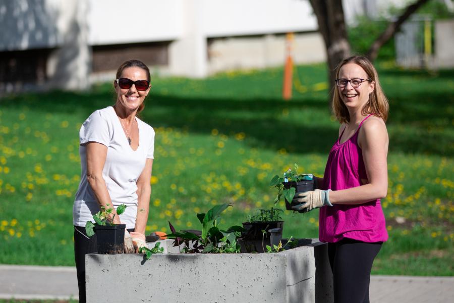 Planting flowers