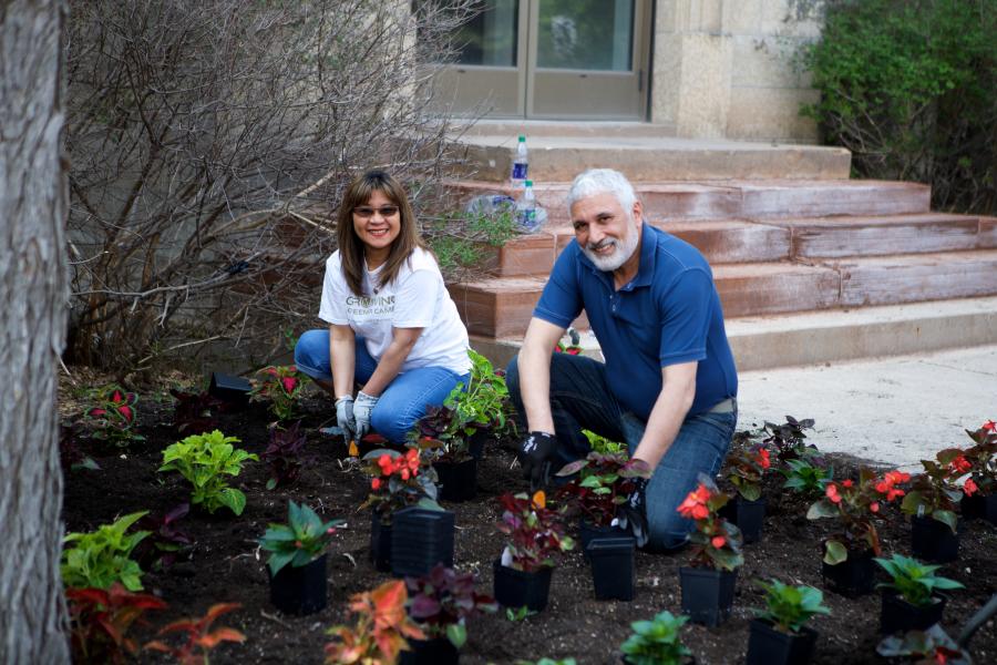 Man and woman planting flowers