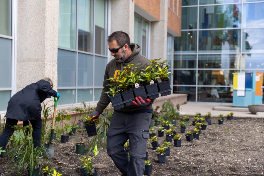 Man handling Plants Campus Beautification day