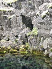 Thingvellir Pond