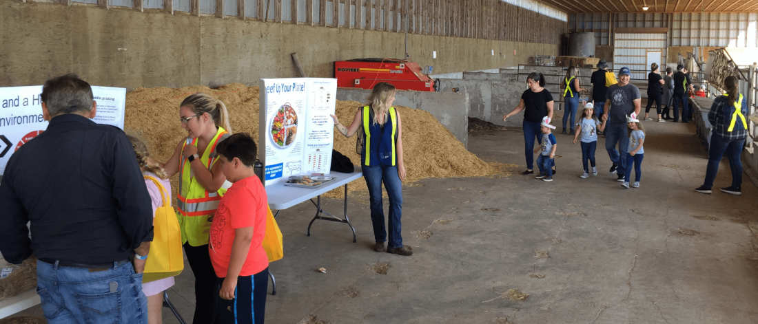 Families with kids of various ages tour the beef barn during an Open Farm Day event at FFDC. 