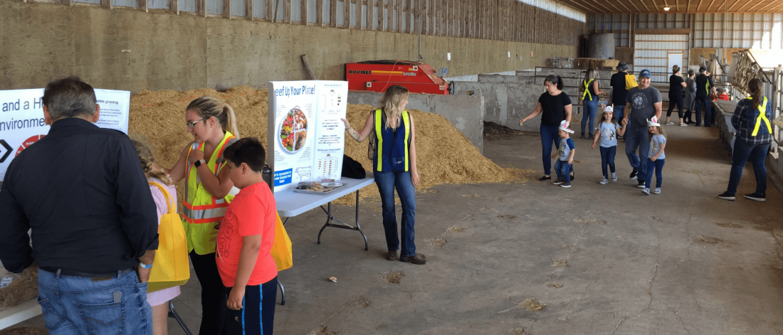 Families with kids of various ages tour the beef barn during an Open Farm Day event at FFDC.