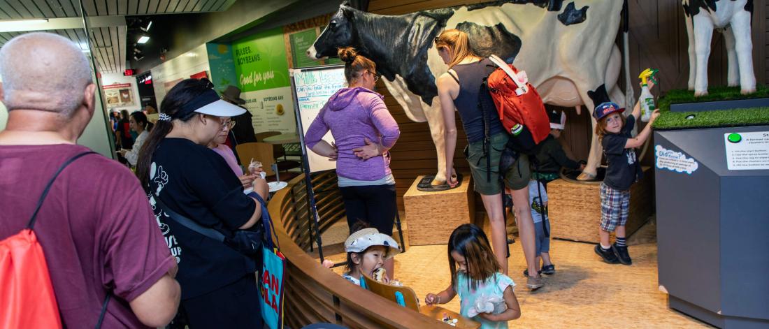 People enjoy displays at the centre
