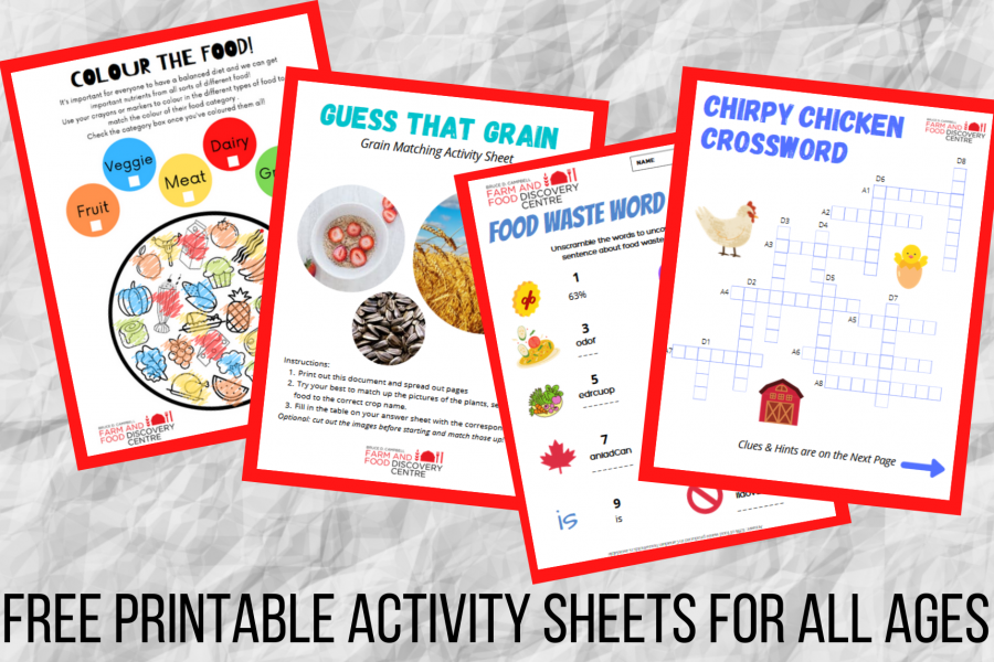 Four examples of colourful free printable worksheets from FFDC. 