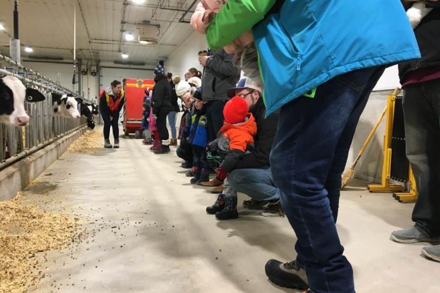 A large group of adults and young children visit the dairy barn during a birthday party at FFDC. An FFDC staff member in an orange safety vest is standing next to the claves while bending down and speaking to a young visitor.