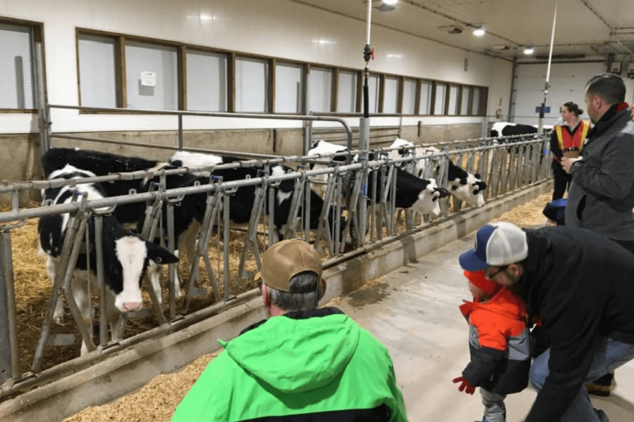 Families with kids look at the dairy calves during a barn tour at FFDC. 