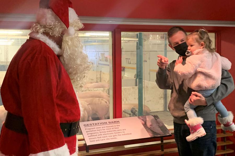 A parent is wearing a mask and holding a young child pointing towards Santa, who is standing to the left of them. They are standing in front of one of the hog barn viewing windows in FFDC.