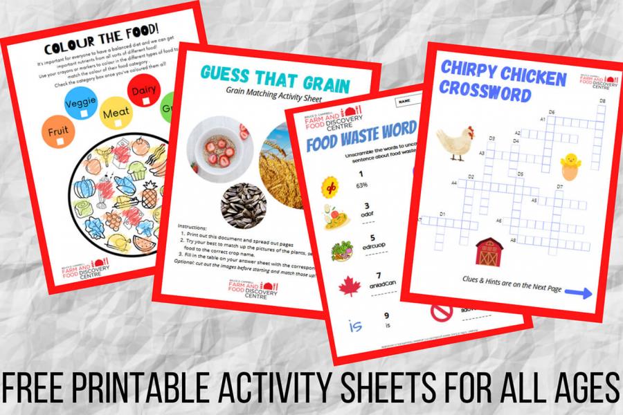 Four examples of colourful free printable worksheets from FFDC.