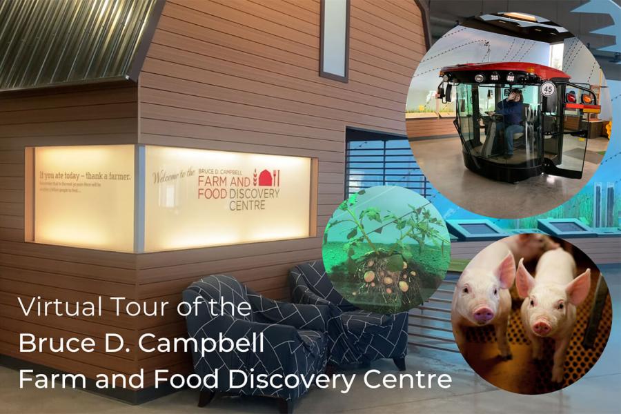 A photo of the model barn in FFDC with images from a virtual tour highlighted in circles and the title "Virtual Tour of the Bruce D. Campbell Farm and Food Discovery Centre".