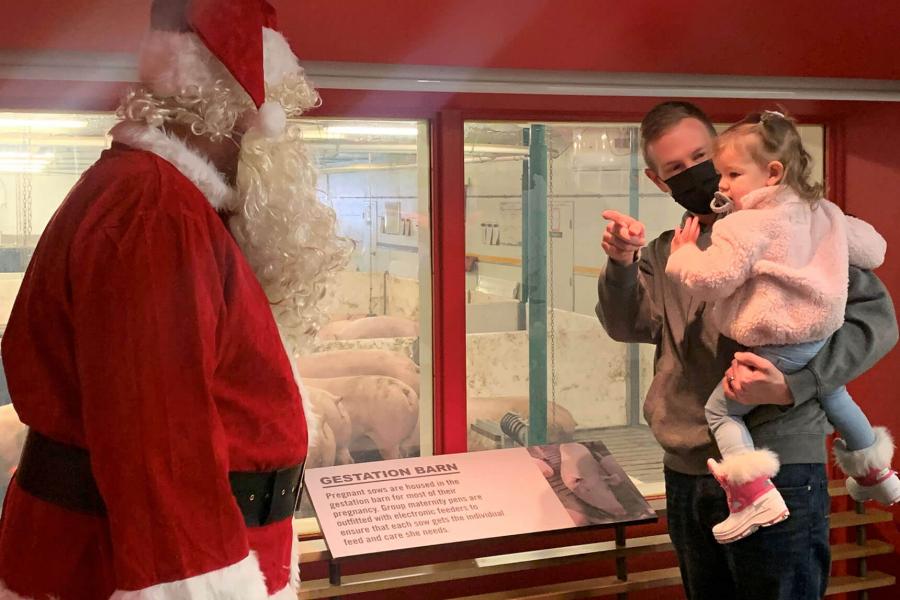 A parent is wearing a mask and holding a young child pointing towards Santa, who is standing to the left of them. They are standing in front of one of the hog barn viewing windows in FFDC. 