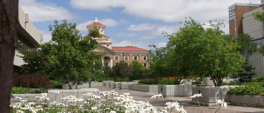 A wide shot of the UM Admin building with daisies on the foreground.