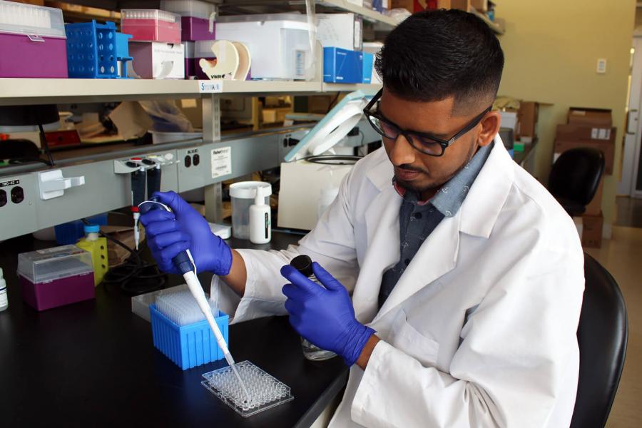 Hadeesha Piyadasa works on his research in a lab.
