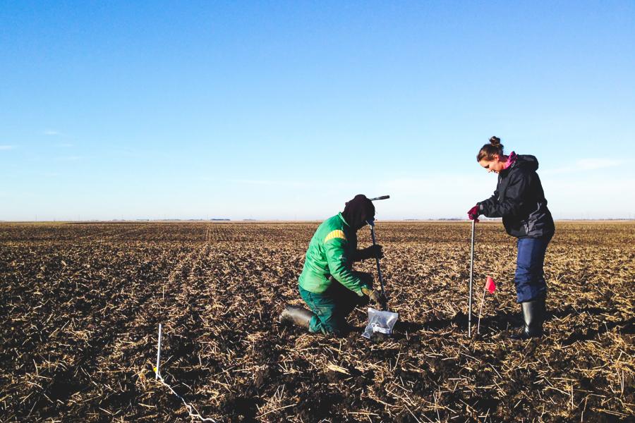 2 people digging in a field.