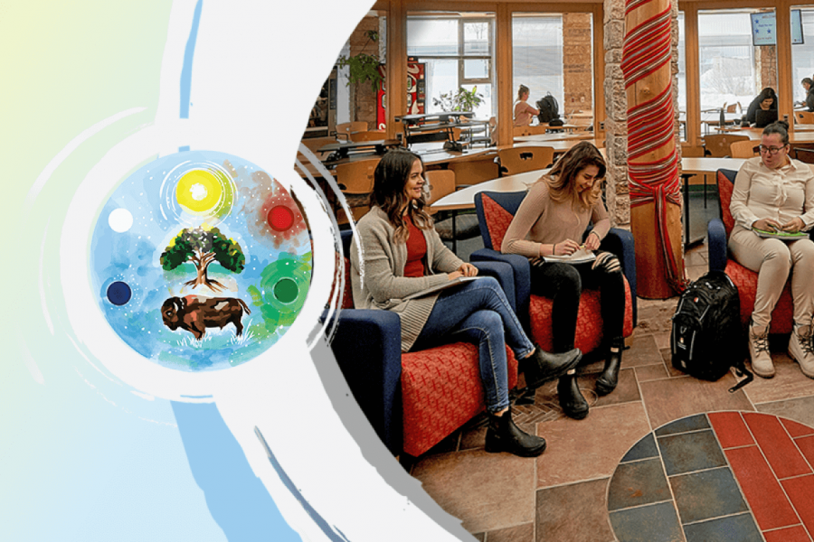 Students in the access program