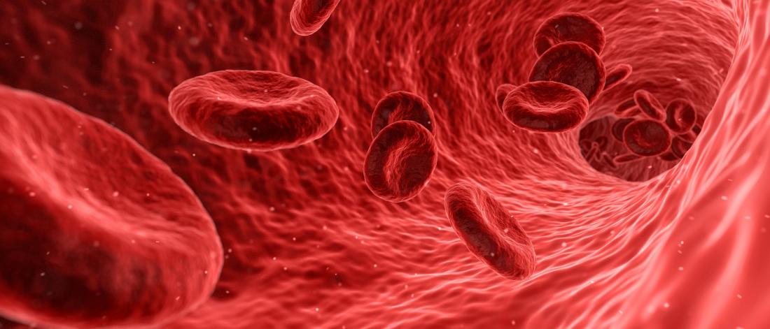 Red blood cells