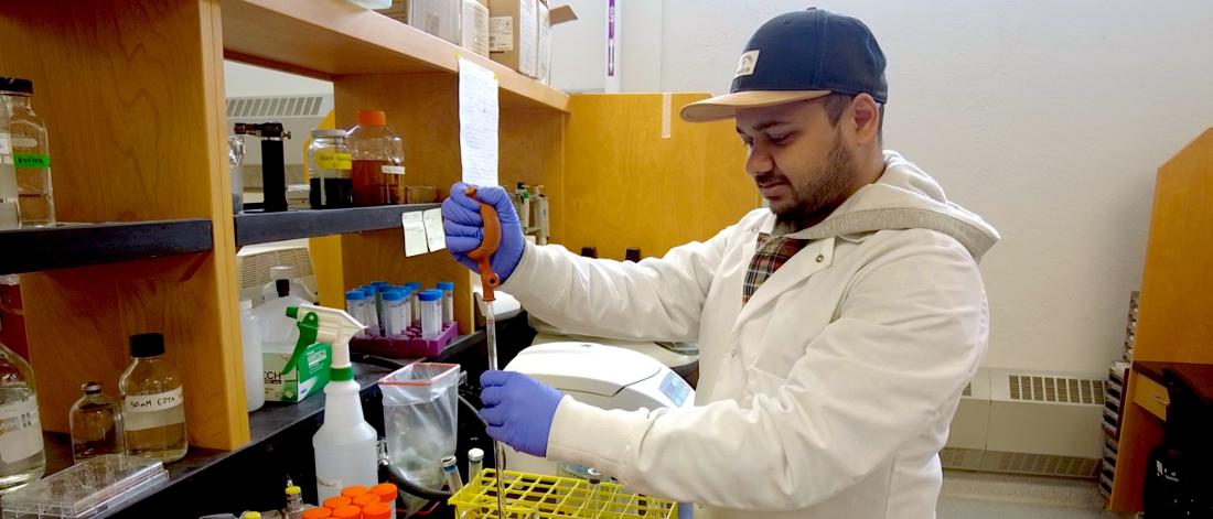 Marike Palmer's student pipetting in the lab.