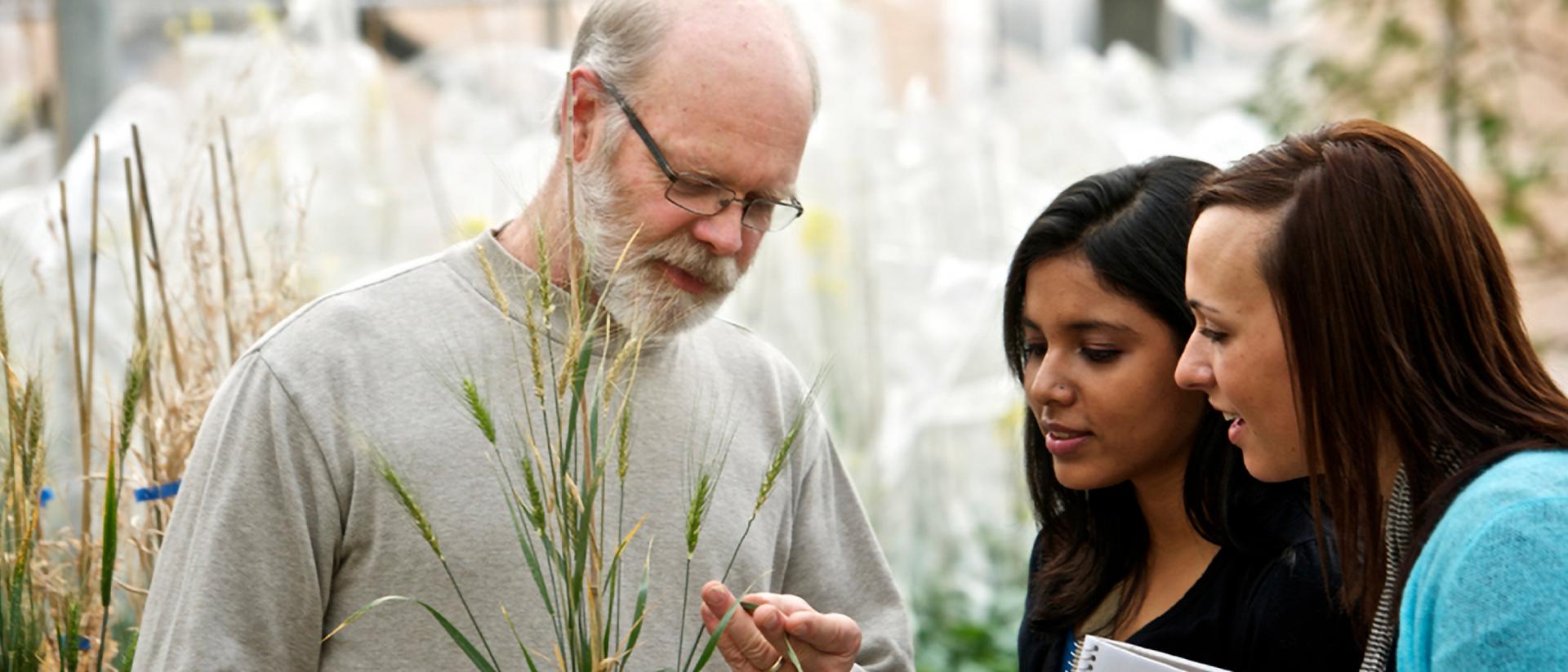 Plant Science (PhD) | Faculty of Graduate and Postdoctoral Studies ...