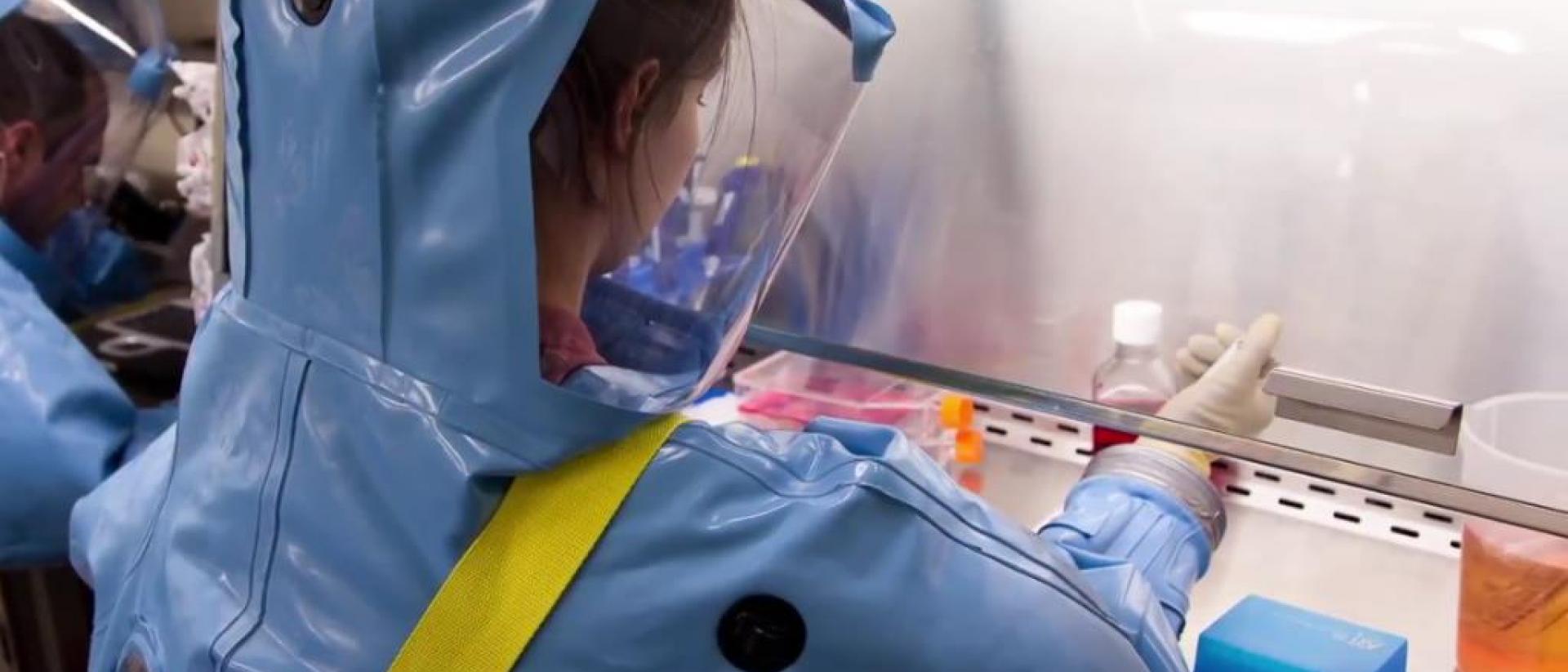 Medical Microbiology and Infectious Diseases (PhD) | Faculty of ...