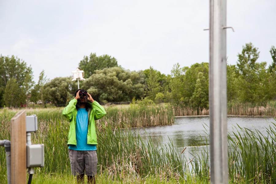 Biological Sciences Field work student with binoculars looking up