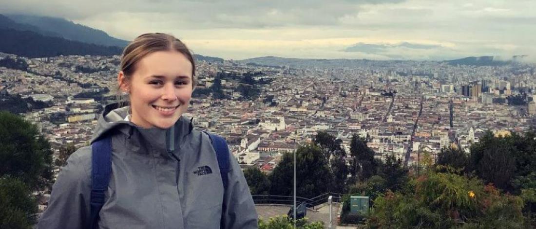 Traveller standing at a scenic point overlooking a city.