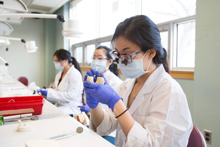 Three dentistry students seated at a long desk working on projects.