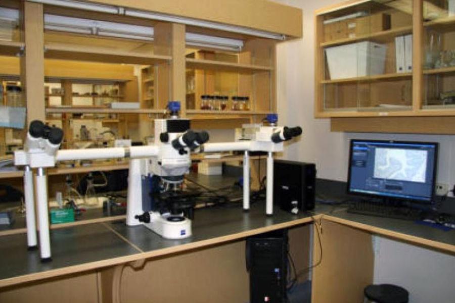 Complex microscope set up with computer monitors.