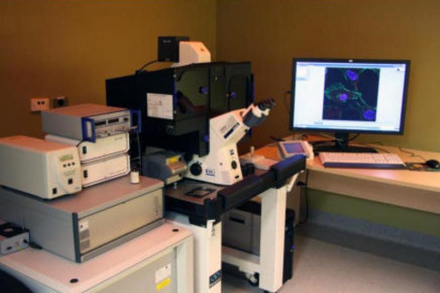 Complex microscope set up with computer monitors.